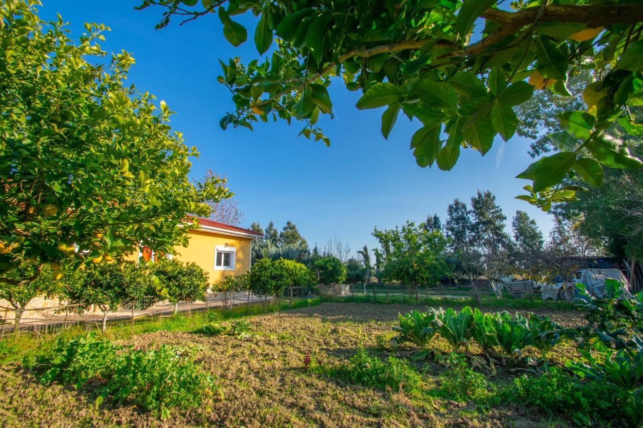 Loukas Farm House Áyios Kírikos Εξωτερικό φωτογραφία