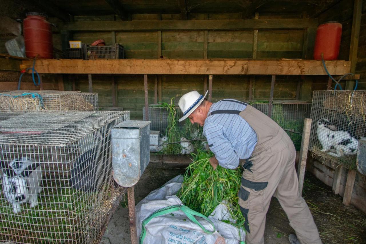 Loukas Farm House Áyios Kírikos Εξωτερικό φωτογραφία