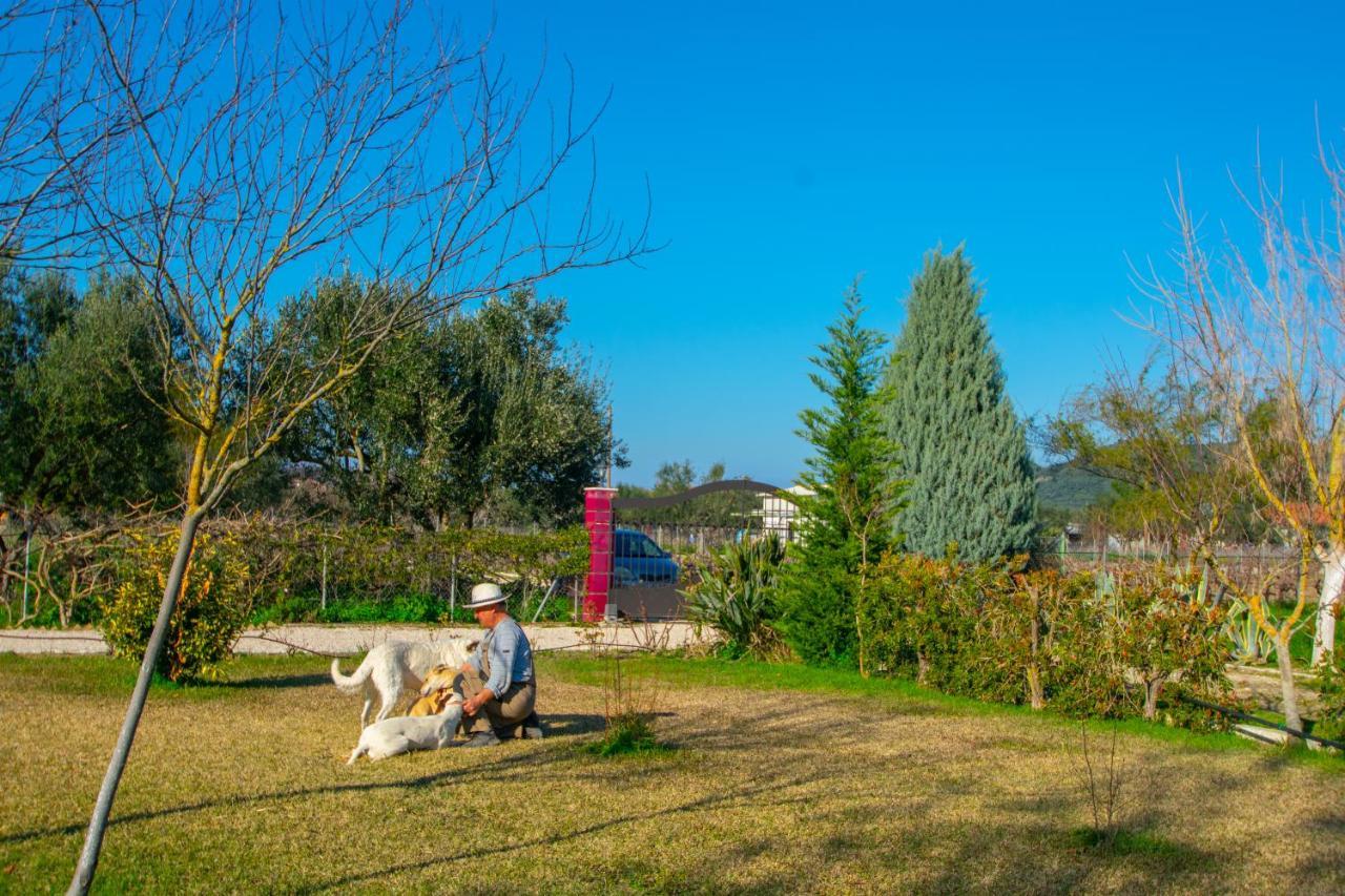 Loukas Farm House Áyios Kírikos Εξωτερικό φωτογραφία