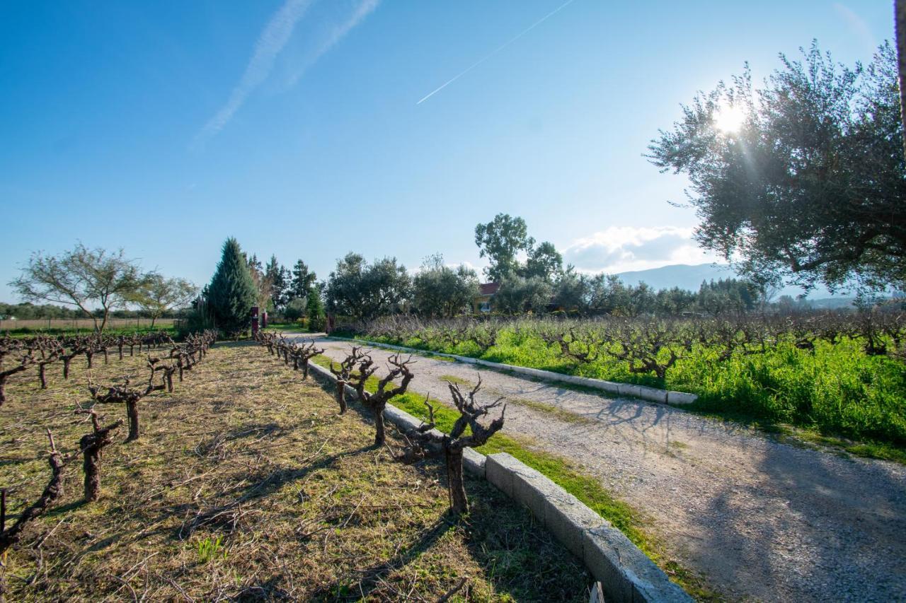 Loukas Farm House Áyios Kírikos Εξωτερικό φωτογραφία