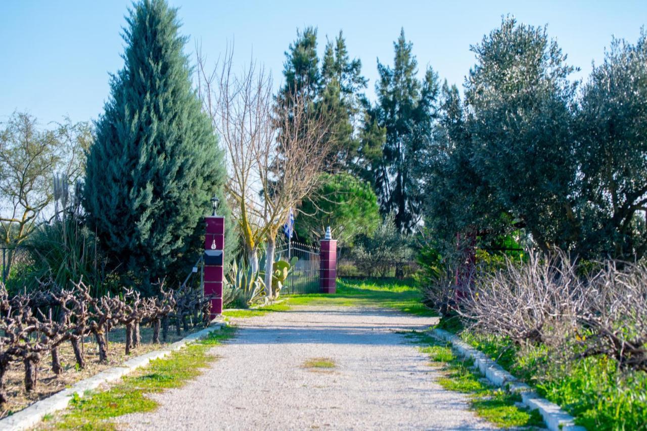 Loukas Farm House Áyios Kírikos Εξωτερικό φωτογραφία