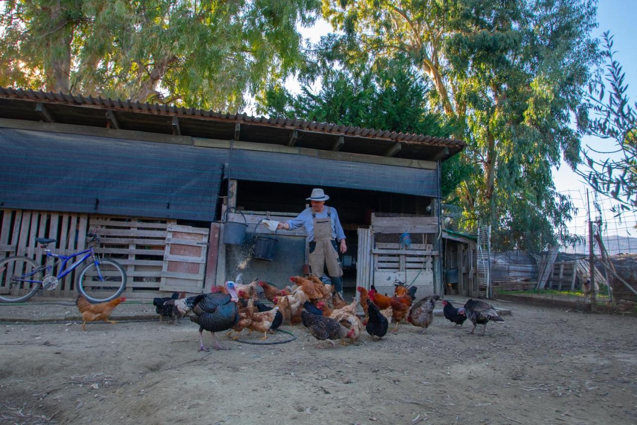 Loukas Farm House Áyios Kírikos Εξωτερικό φωτογραφία