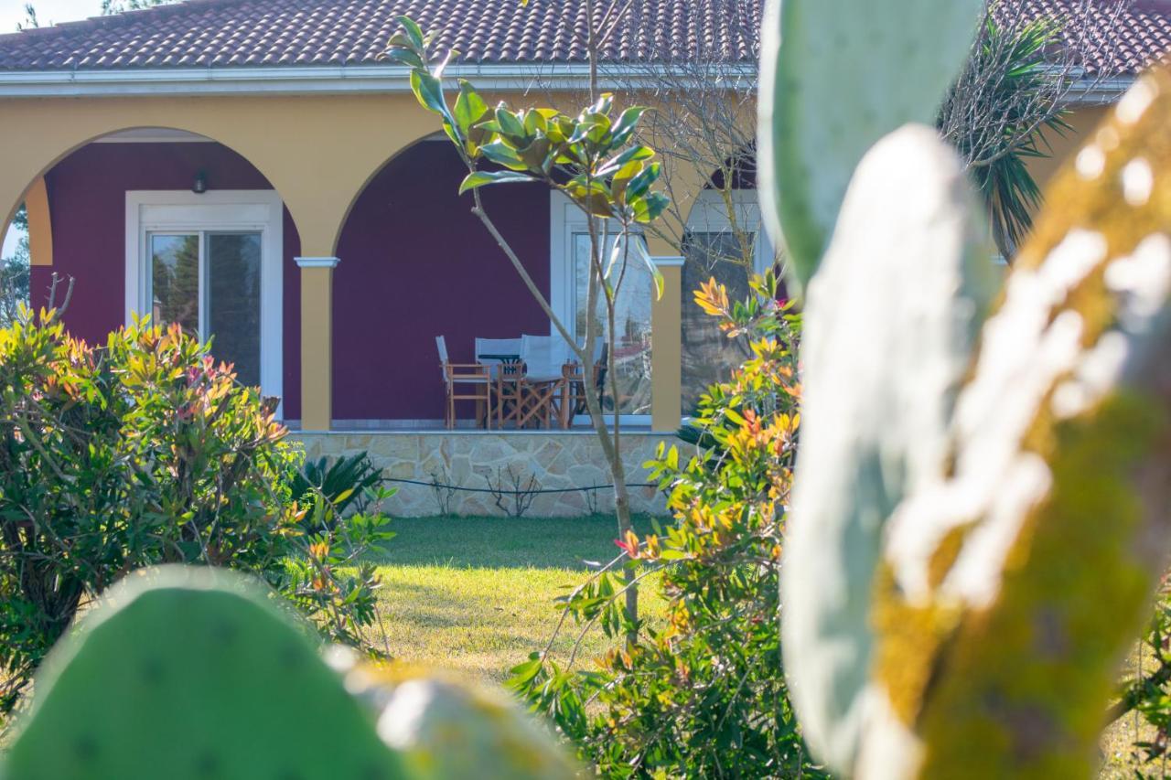 Loukas Farm House Áyios Kírikos Εξωτερικό φωτογραφία